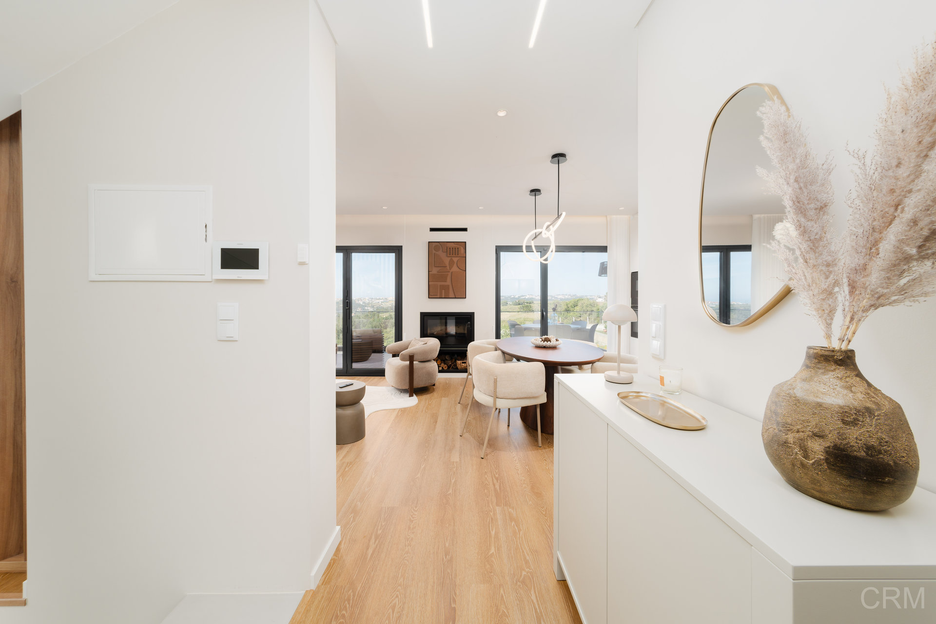 Entrance and living area